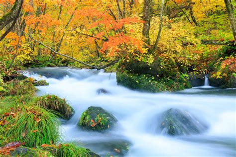 東北之星|日本東北旅遊：奧入瀨溪、青森秘境、藏王樹冰。